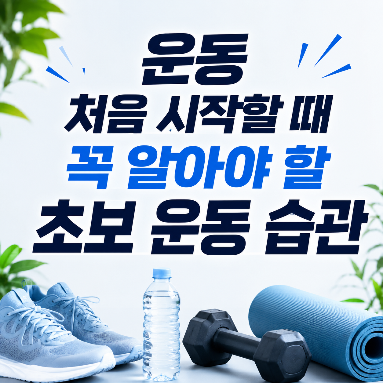초보 운동 습관