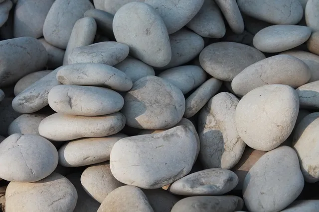 쿠팡 육개장 품절 대란 원인과 대체 상품_7