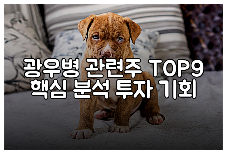 광우병 관련주 TOP9 핵심 분석 투자 기회