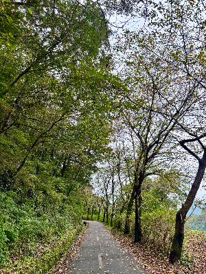 내가 가진 에너지가 결과를 만드는 이유