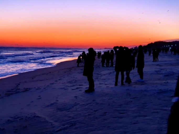 2026년 1월 KTX 일출 기차 예매