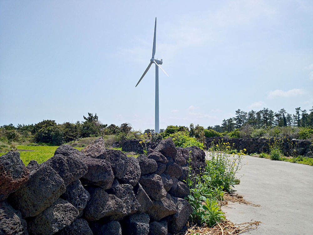 올레길 20코스: 김녕서포구에서 제주해녀박물관까지