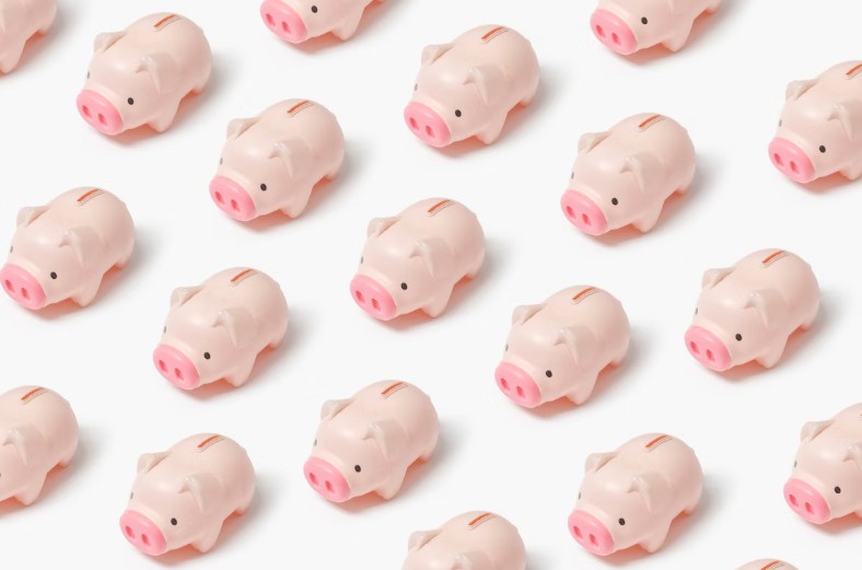 돼지 저금통 사진