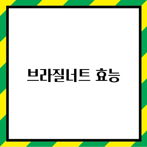 브라질너트 효능