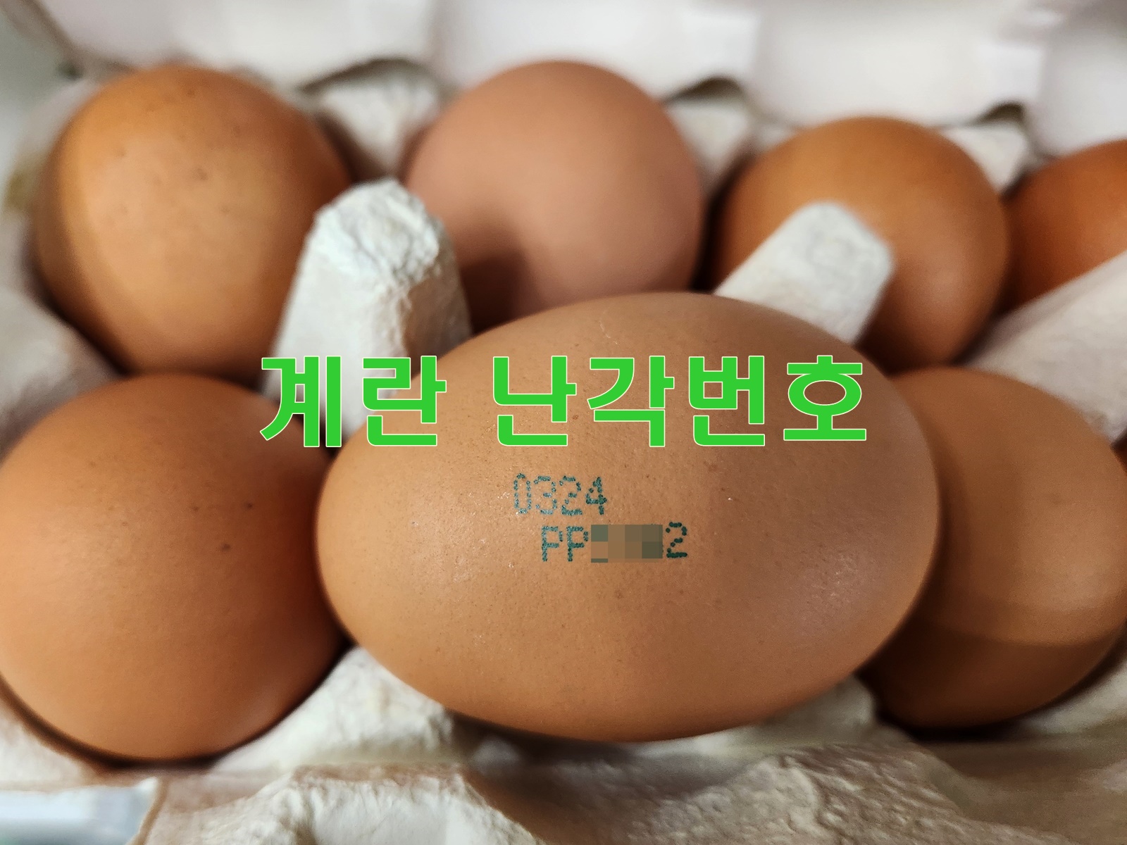 계란 난각번호와 품질등급