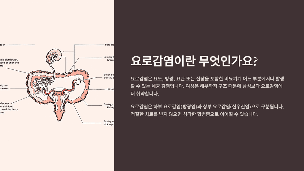 요로감염이란 무엇인가요?
