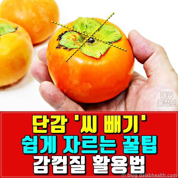 감 자르는법,감 씨빼기,팁줌