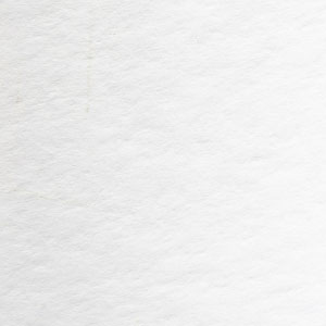 빈혈약 추천 - 엽산