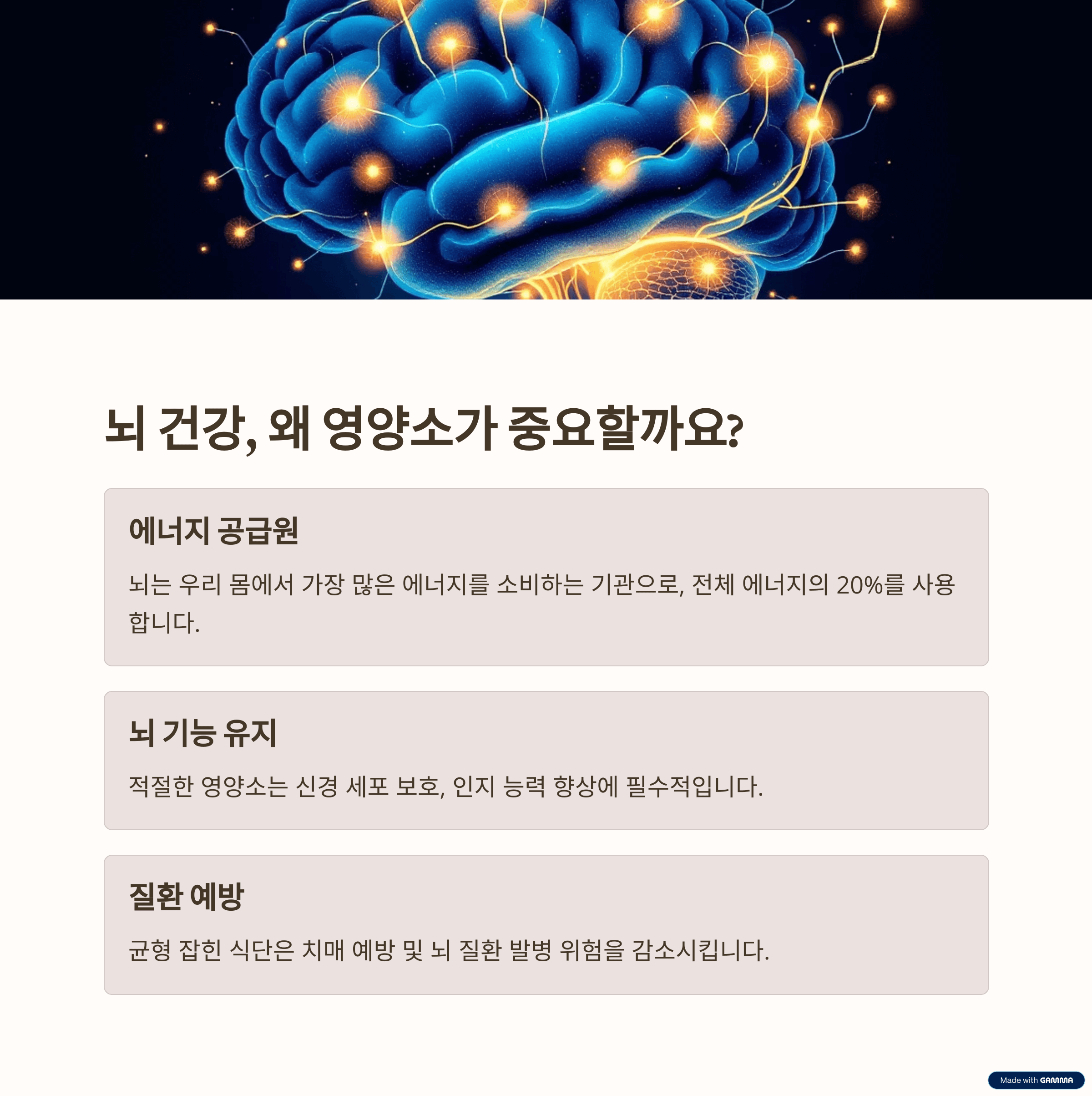 뇌 건강, 왜 영양소가 중요할까요?