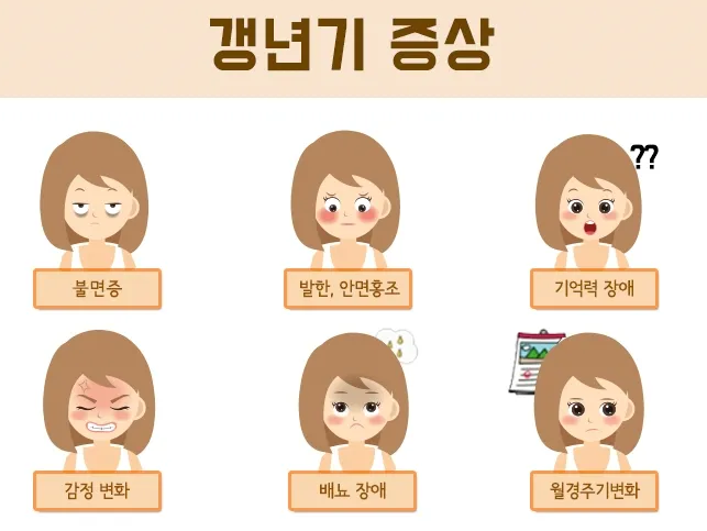갱년기 증상