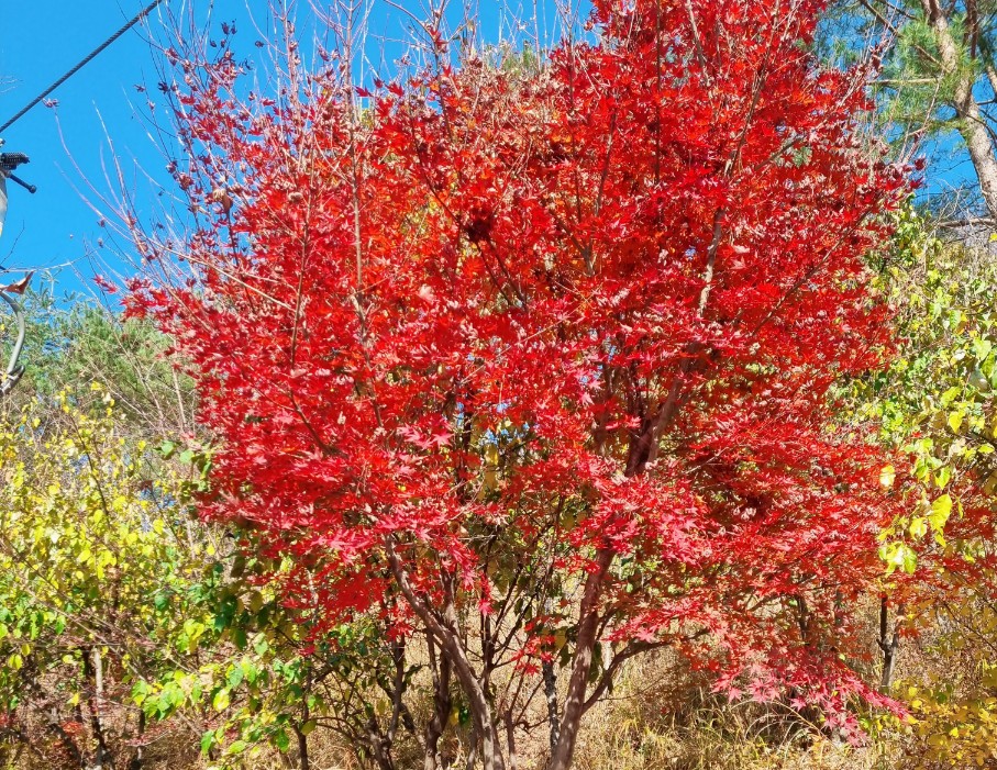 한국관광공사 숙박페스타 9월, 10월 가을 국내여행 숙박 할인쿠폰 받기