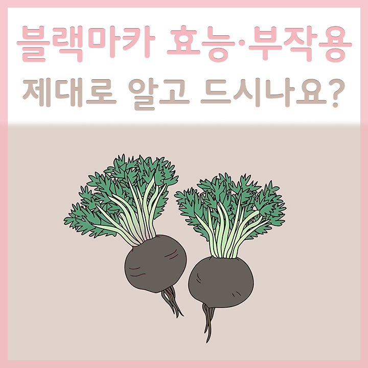 블랙마카의-모습