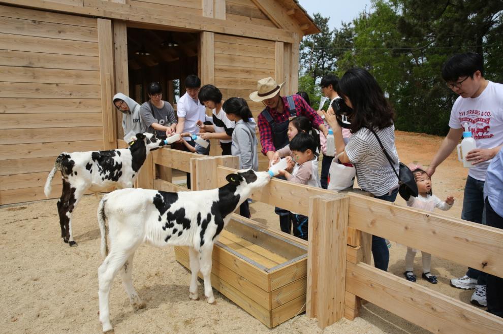 고창 가볼 만한 곳