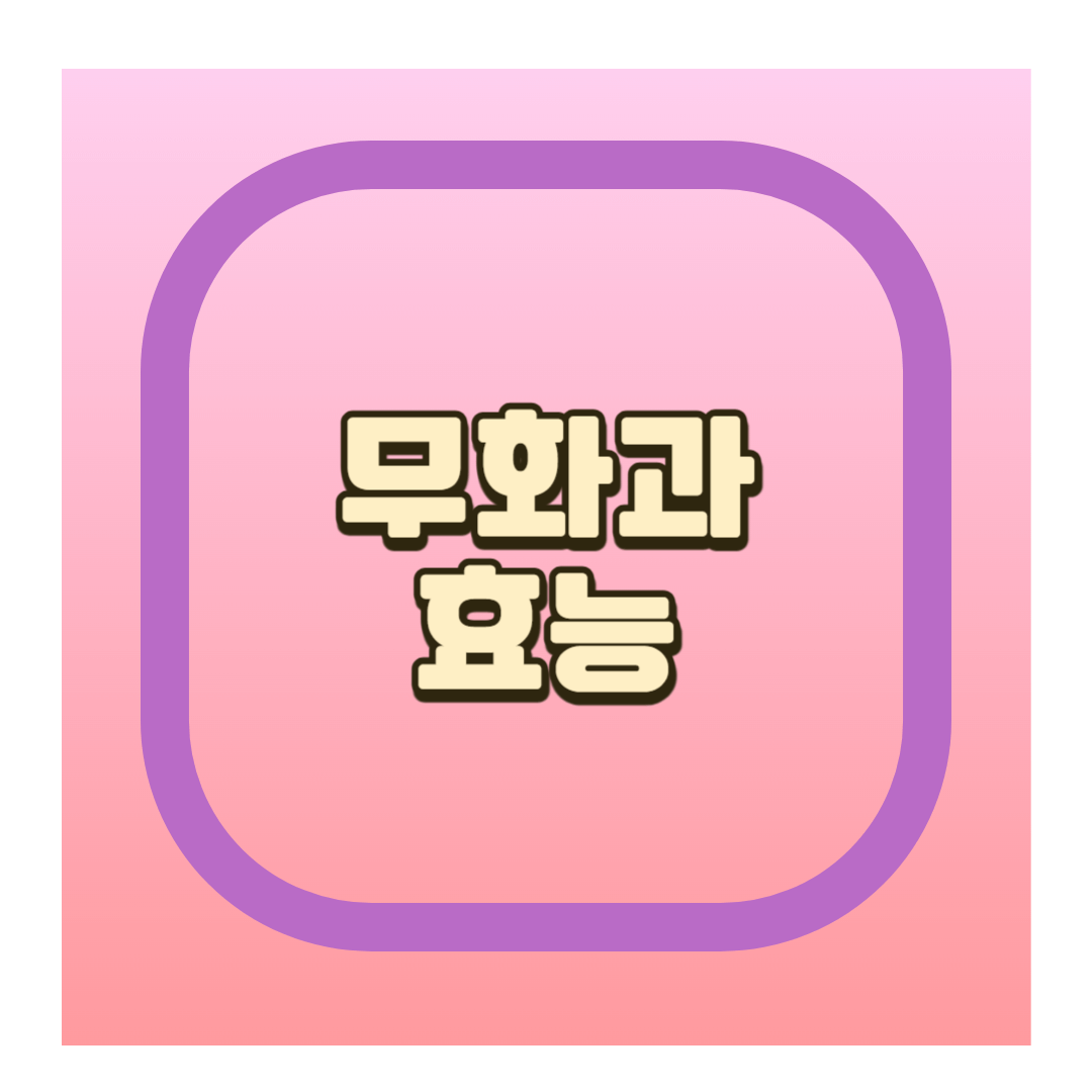 무화과 효능