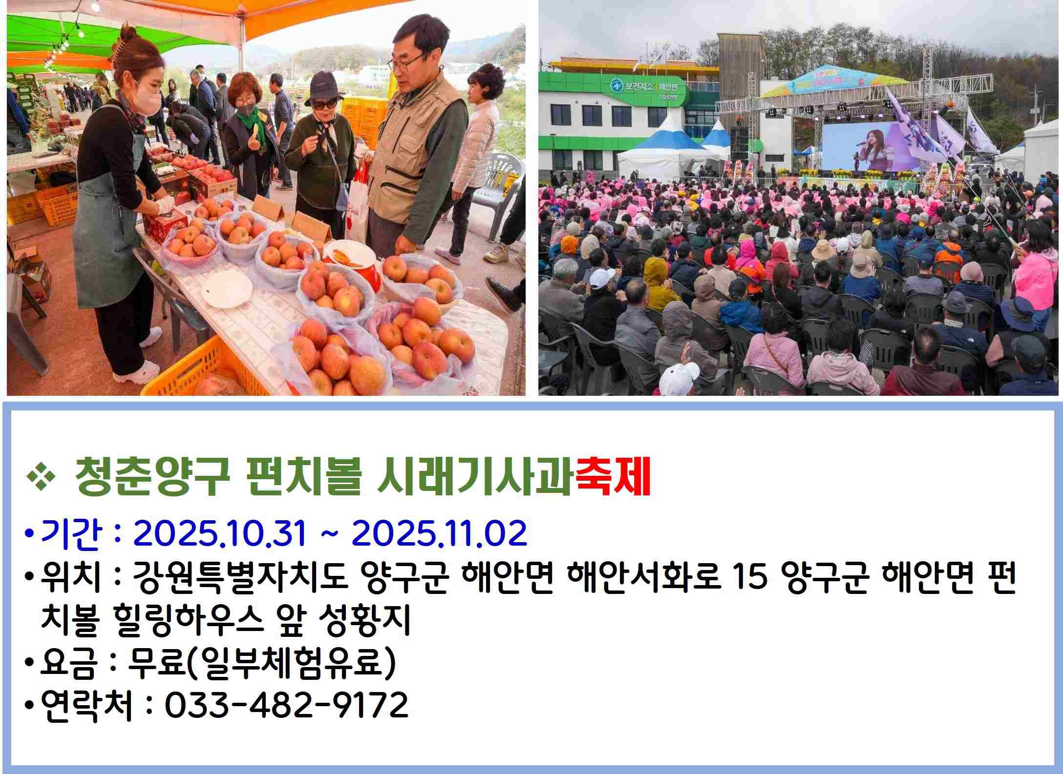 청춘양구 펀치볼 시래기사과축제