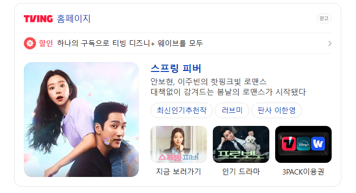 스프링-피버-기본-정보-등장인물-뜻-ott
