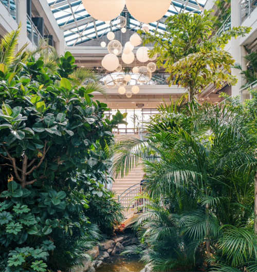 초대형카페-커피맛집-분위기맛집-입니다