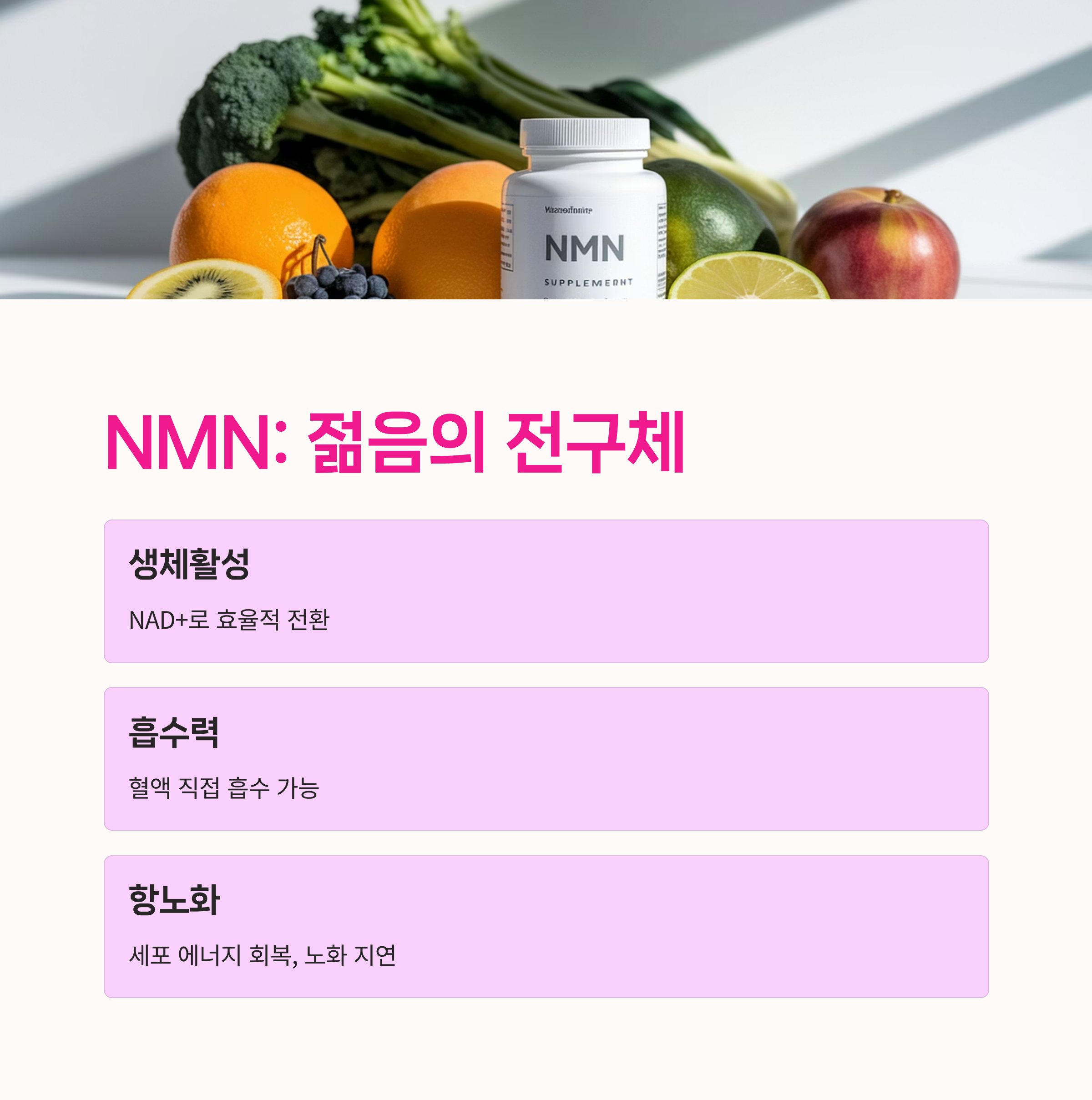 세포대사, Sirtuin,