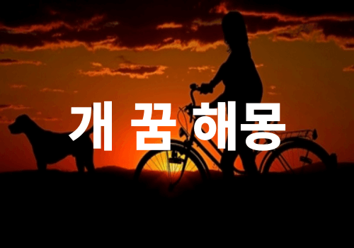 개 꿈 풀이 해몽 썸네일