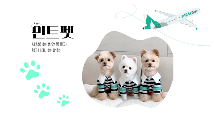 에어서울-민트펫