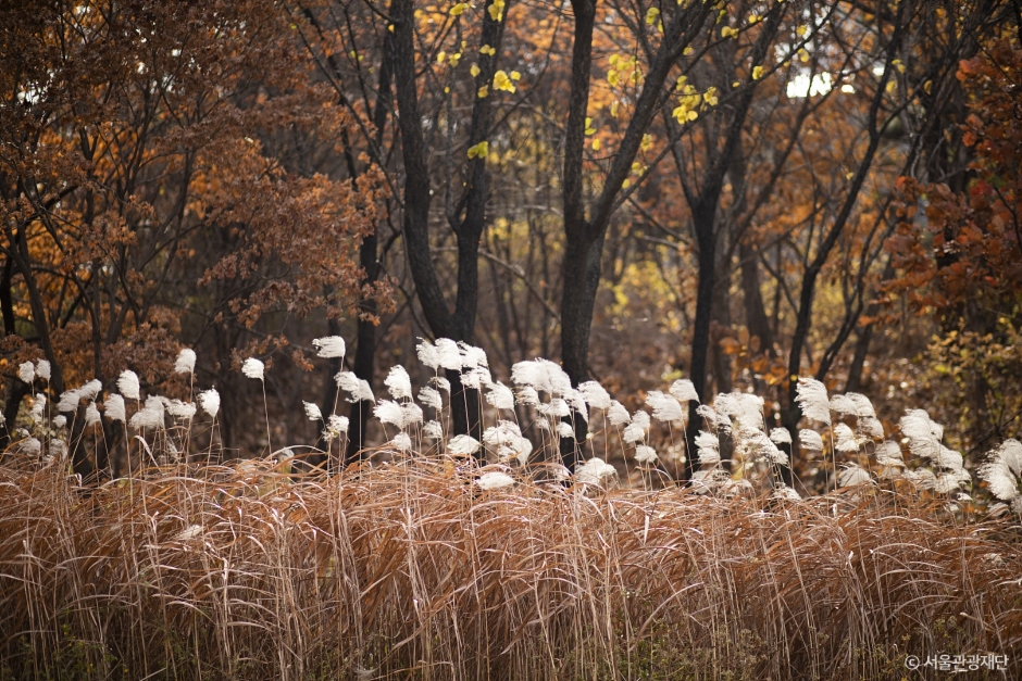 2024 가을 여행지 단풍 명소 추천