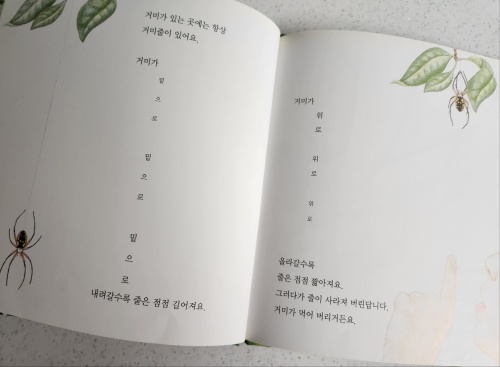 멋진 거미