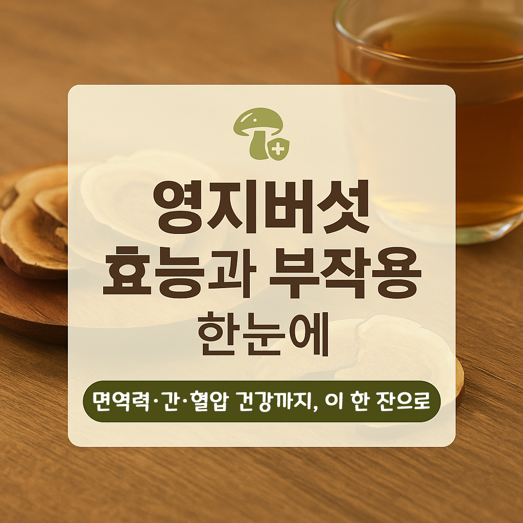 영지버섯 효능과 부작용 총정리｜면역력&middot;혈압&middot;간 건강 효과 한눈에