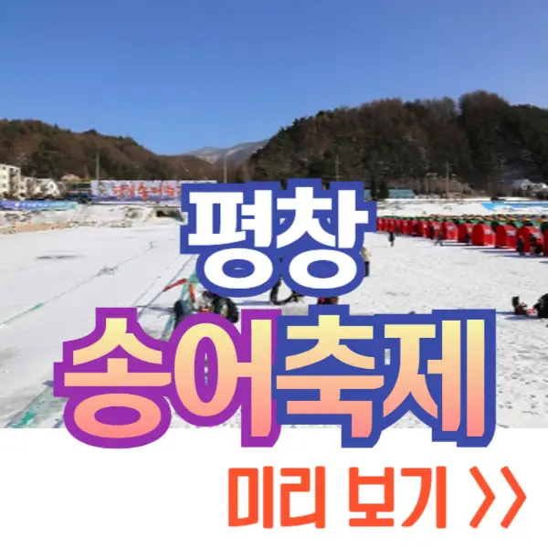 평창 송어축제