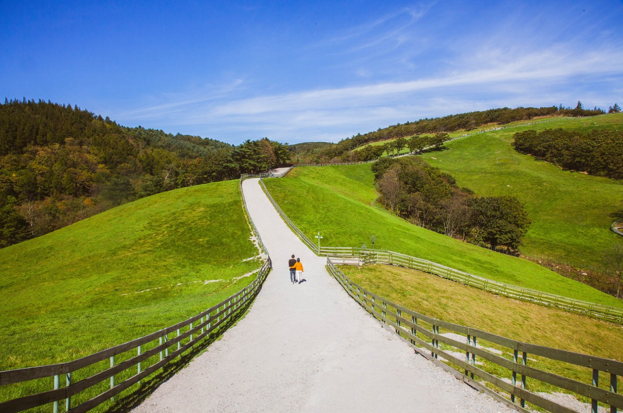 강원도 여름 명소