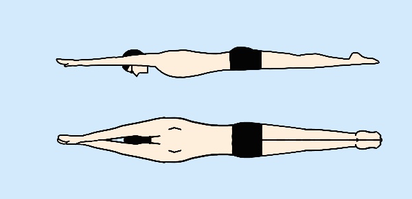 접영 웨이브
수영 스트림라인