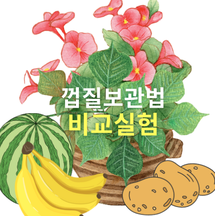 껍질보관법 비교실험