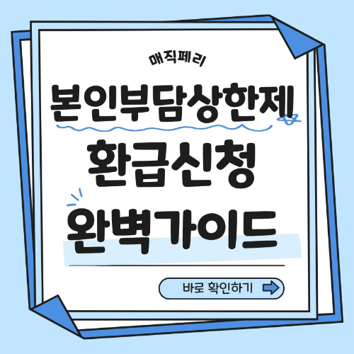 본인부담 상한제 환급신청 완벽 가이드