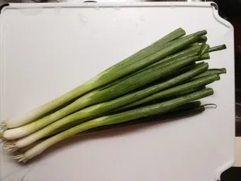 리크 재배 분주 심기 북주기 통풍 관리_12