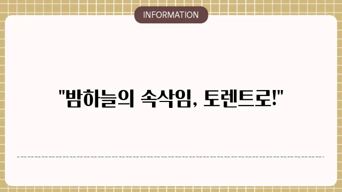 토렌트밤 사이트 - 장기 다운로드 최적화