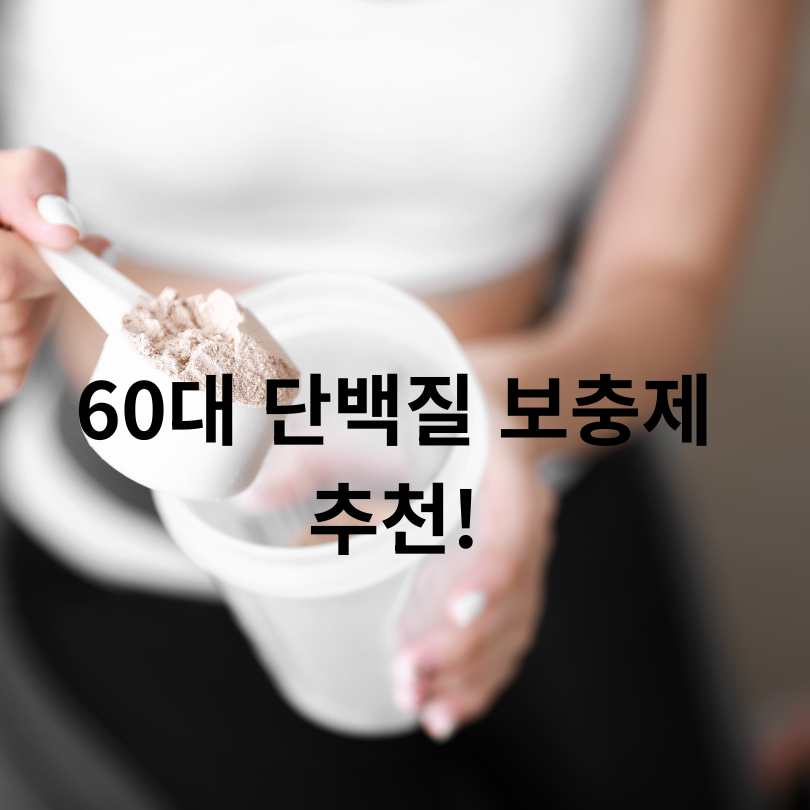60대 단백질 보충제 추천!