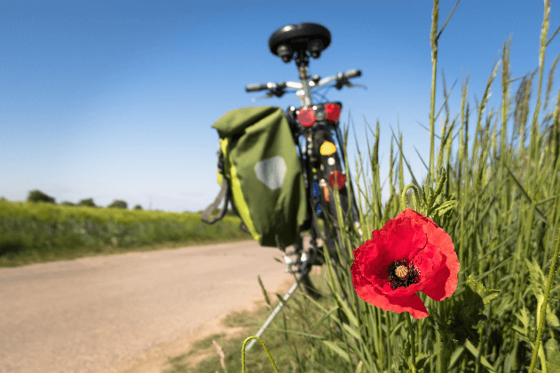 디지털 세상 속 ‘진짜 고요’를 찾는 법