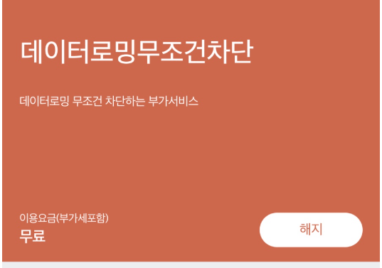 sk 유심보호서비스 데이터로밍무조건차단