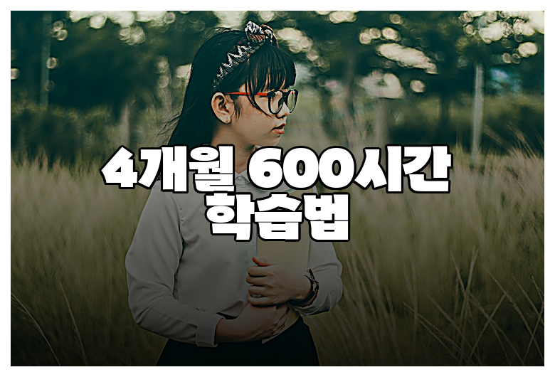 4개월 600시간 학습법