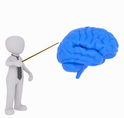 뇌경색과 뇌출혈 차이, 증상&middot;원인&middot;치료방법 비교