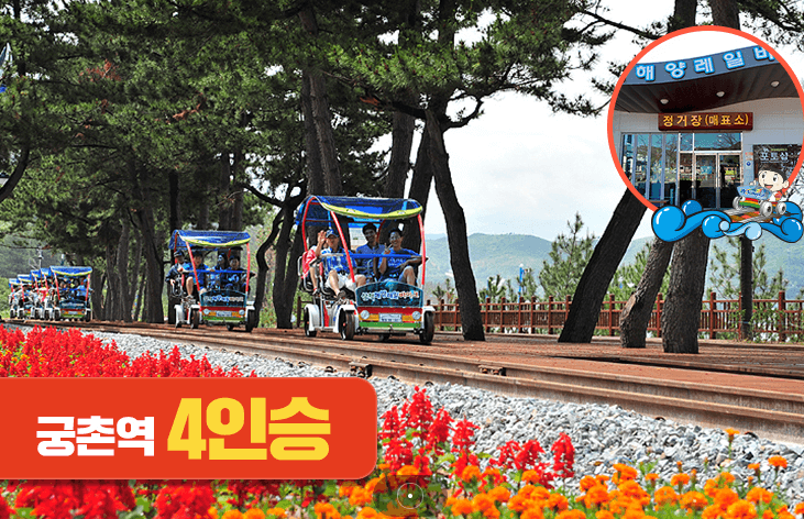 삼척 해양레일바이크