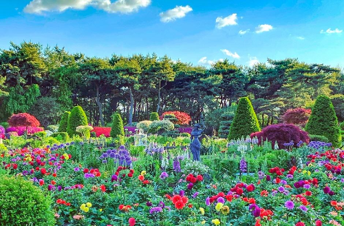 벽초지수목원 백만송이 봄꽃축제 사진