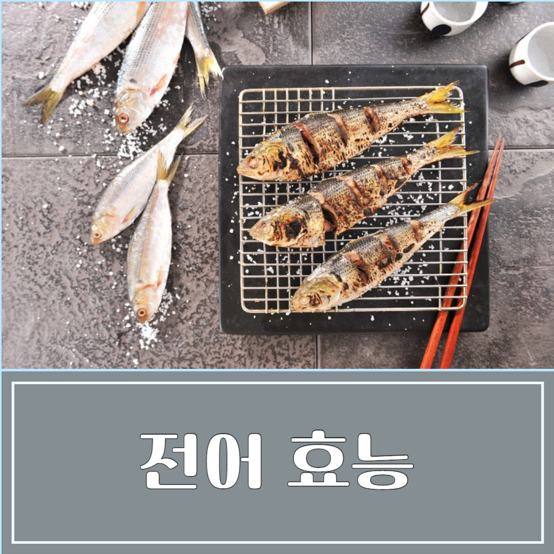 가을 전어 효능 및 부작용