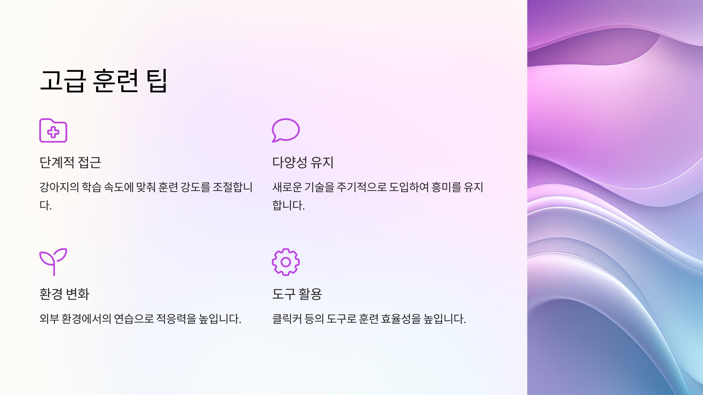 고급 훈련 팁