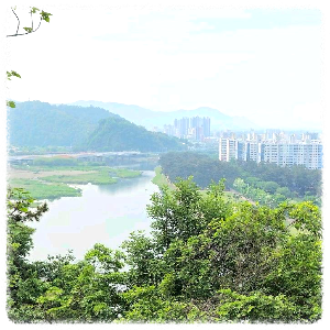 밀양강