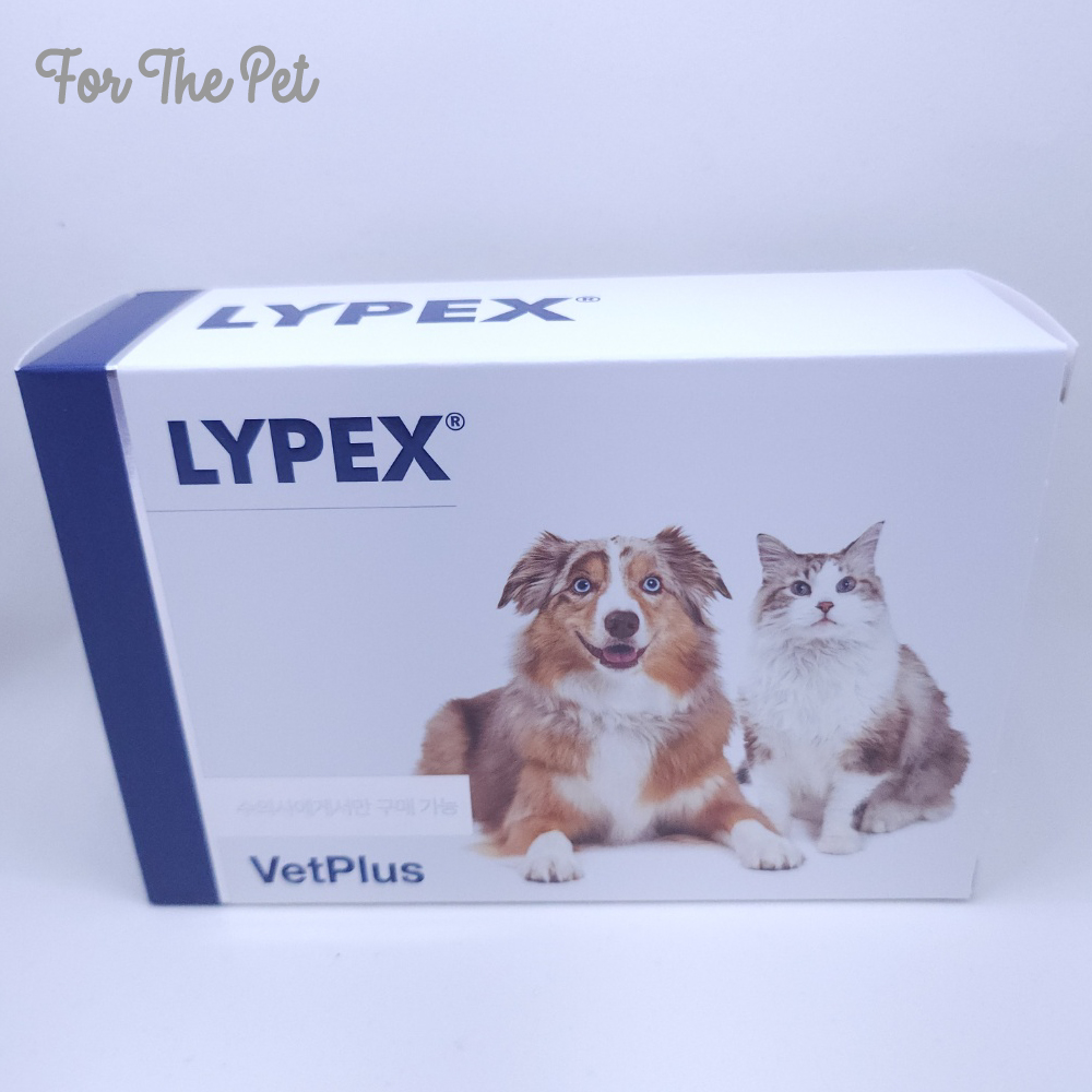반려 동물의 건강 지키기: 라이펙스(LYPEX) 영양보조제로 시작하기