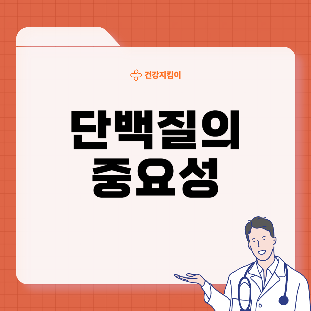 단백질 많은 음식 식물성 동물성