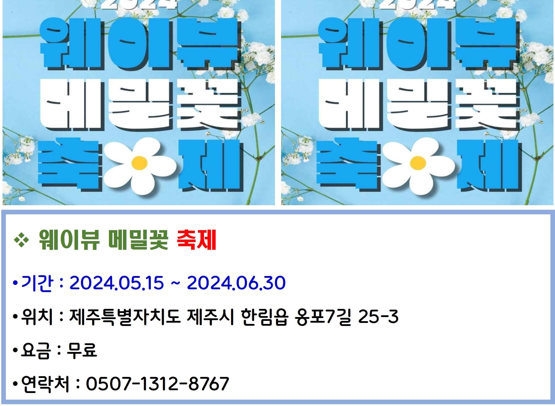 웨이뷰 메밀꽃 축제