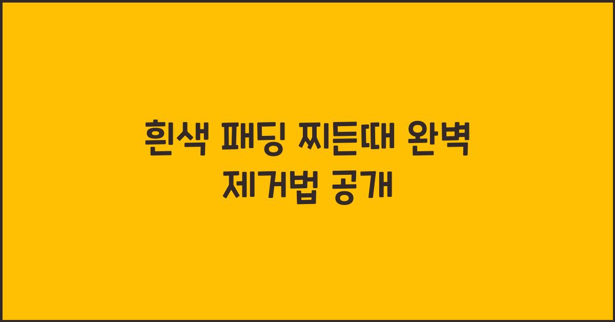 흰색 패딩 찌든때
