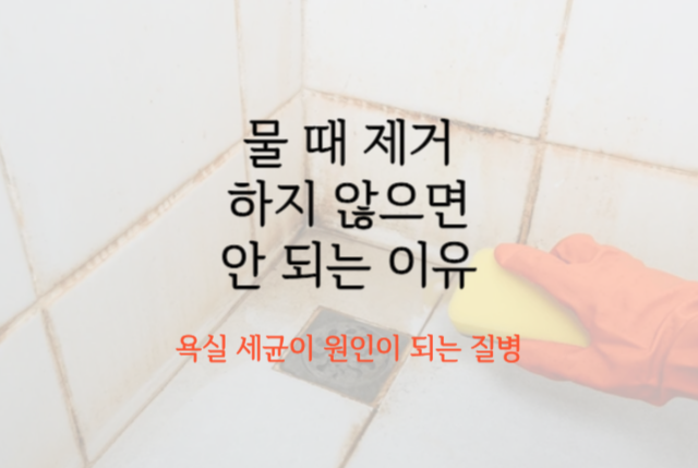 물-때-제거-클리너