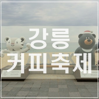 강릉 커피 축제